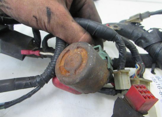 Kabelboom Honda CBX 750 F