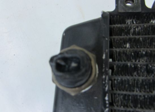 Radiator Suzuki GSX R 1300 Hayabusa