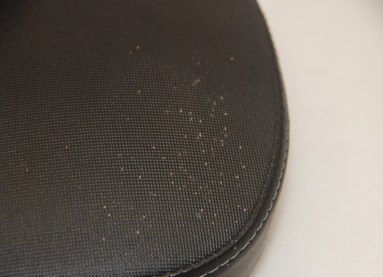 Buddy zadel Harley Davidson Sportster