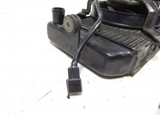 Radiateur Yamaha TDM