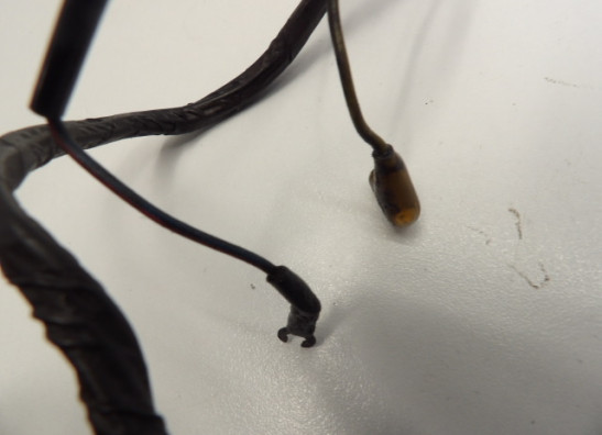 Dynamo Kawasaki LTD 550