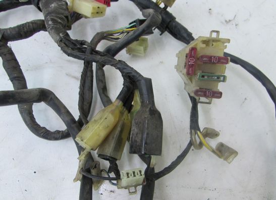 Kabelboom Honda PC 800