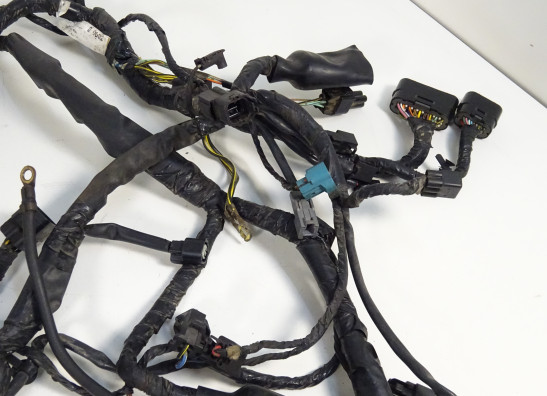 Wire Harness Kawasaki ER 6