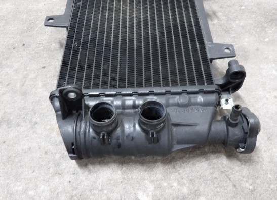 Kuhler BMW F 800 S - ST