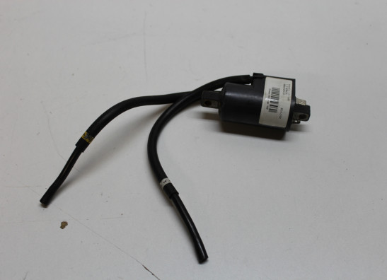 Bobine Yamaha YZF 600 Thundercat