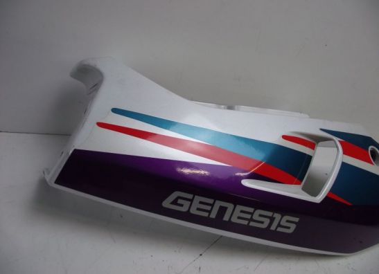 Rechter achterkant Yamaha FZR 600