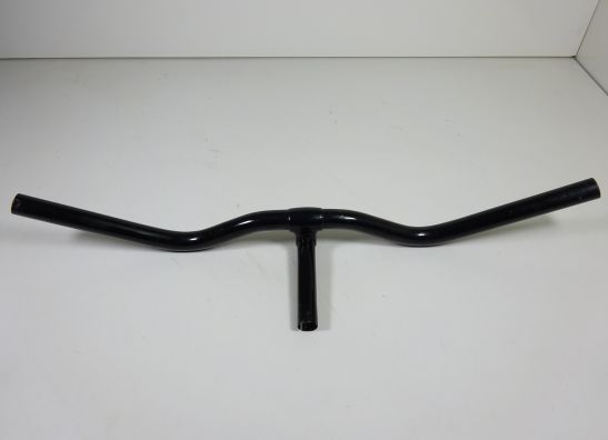 Steer Overig Onbekend Unknown