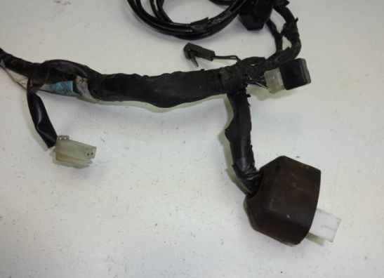 Kabelboom voor Suzuki DL 650 V STROM