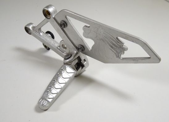 Schetsplaat links Aprilia RSV 1000