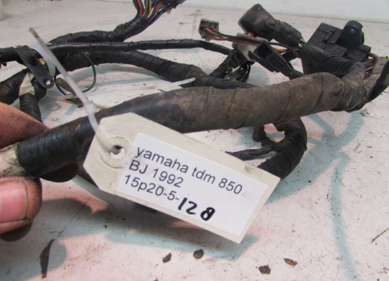 Kabelbaum Yamaha TDM