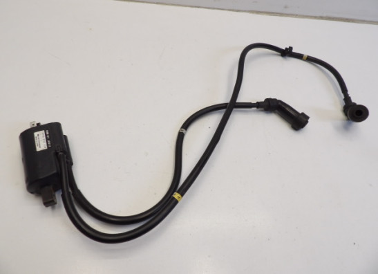 Bobine Yamaha XJ 900 S Diversion
