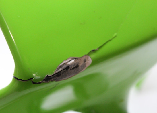 Frontverkleidung kanzel Kawasaki ZXR 750 R