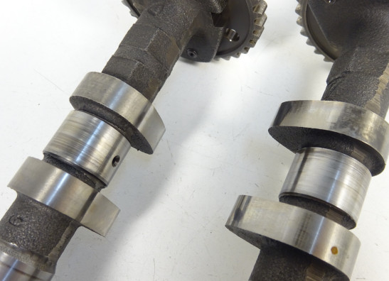 Nokkenas Triumph Tiger 1050