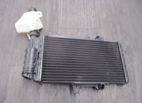 Radiateur BMW F 700 GS 2012-2014, 2015-2018