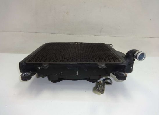 Kuhler Kawasaki GTR 1000