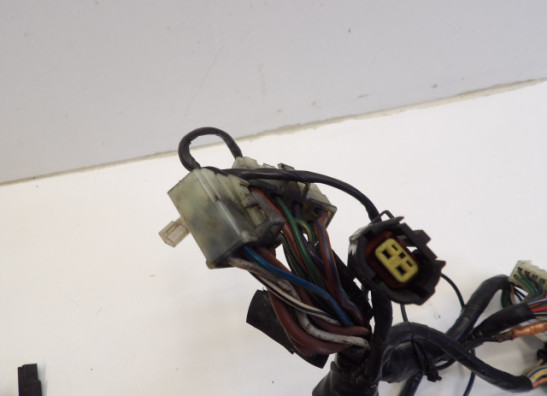 Kabelboom Triumph Trophy 900