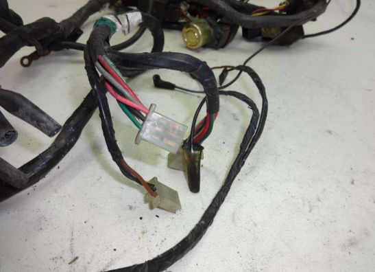 Kabelbaum Kawasaki ZZR 1100