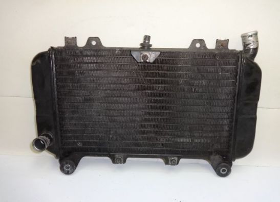 Kuhler Kawasaki ZZR 600