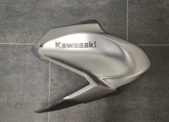 Linker zijkuip klein Kawasaki Z 900