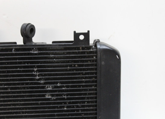 Radiateur Kawasaki Z 900