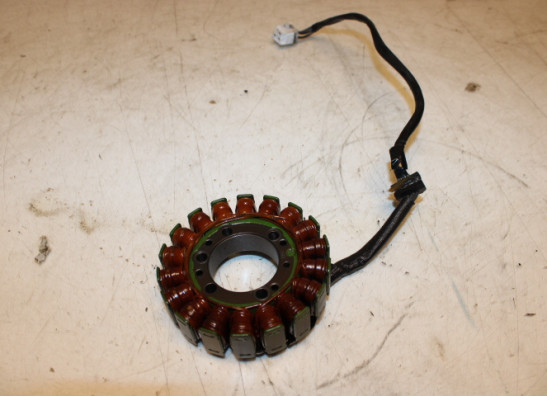 Dynamo Kawasaki ER 6