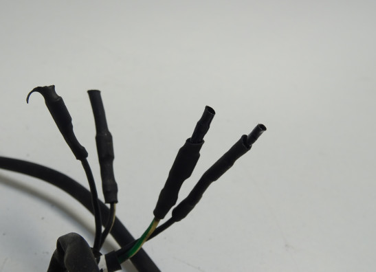 Achterlicht Ducati monster 600