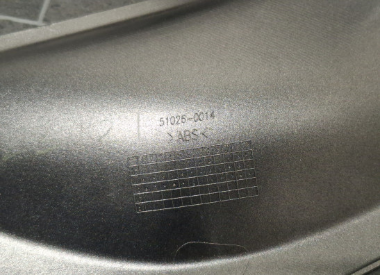 Linker zijkuip klein Kawasaki Z 900