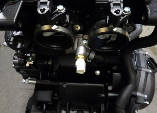 Motorblock Suzuki GSX 8R