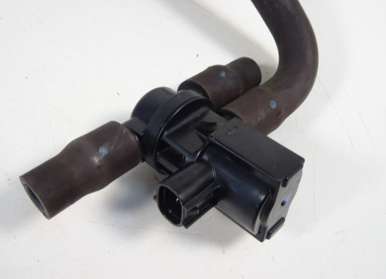 Luftfiltergehäuse Kawasaki Z 750