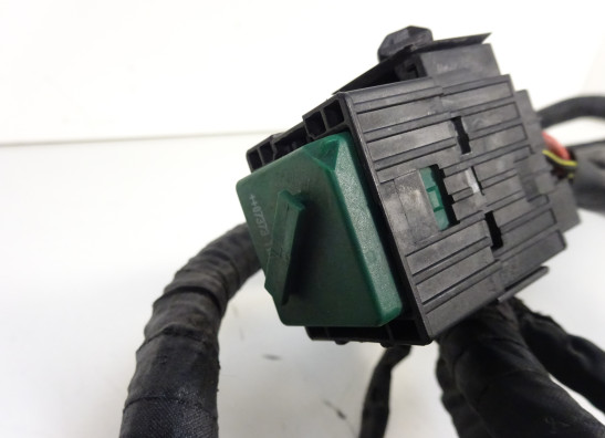 Kabelboom BMW K 1200 S 