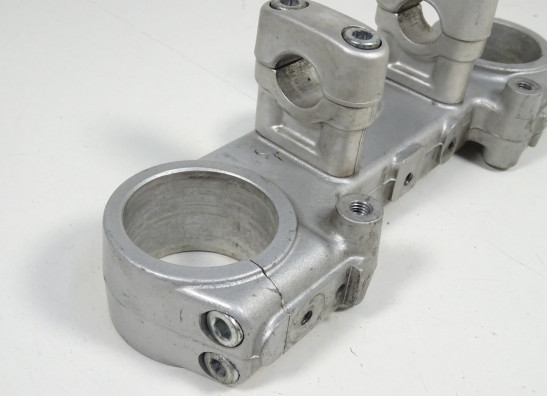 Kroonplaat Ducati monster 600