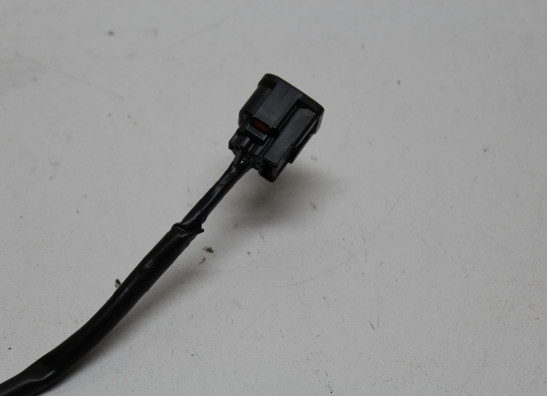 Rempomp achter Honda CRF 1100 Africa Twin