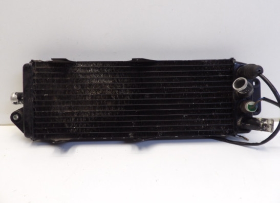 Radiator Suzuki VX 800