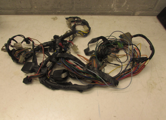 Wire Harness Yamaha V max