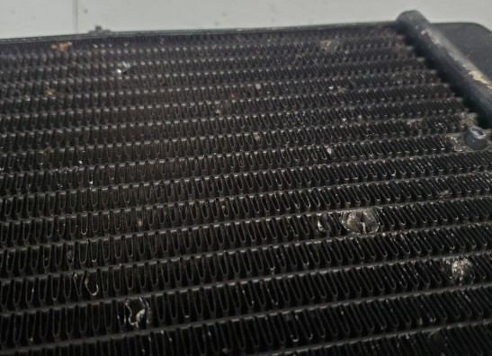 Radiateur Aprilia Tuono 1000