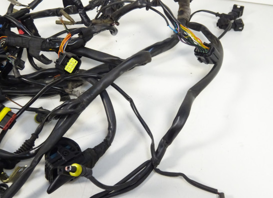 Kabelboom Ducati monster 600