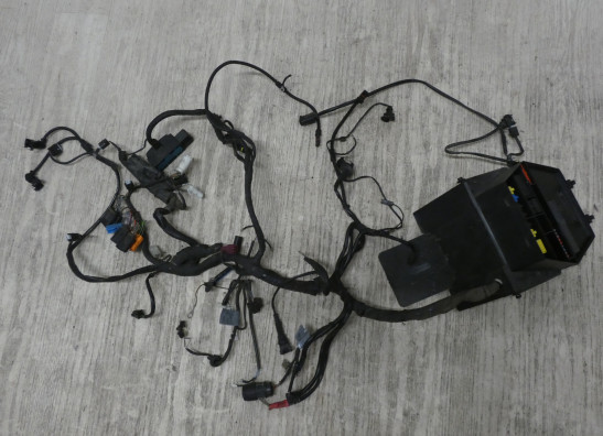 Kabelboom BMW R 1150 R rockster 2003-2006