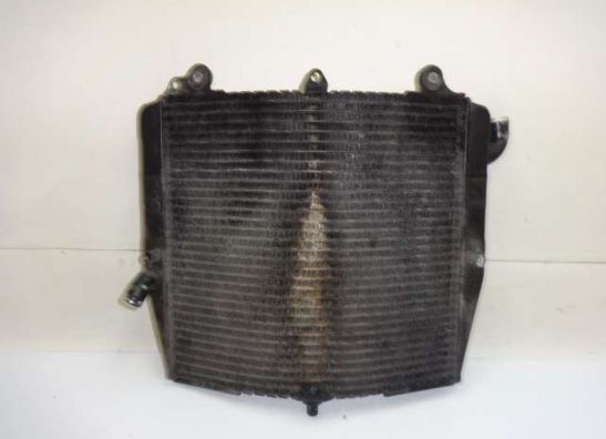 Radiator Suzuki RF 600