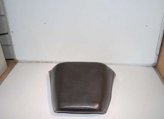 Buddy zadel Yamaha V max