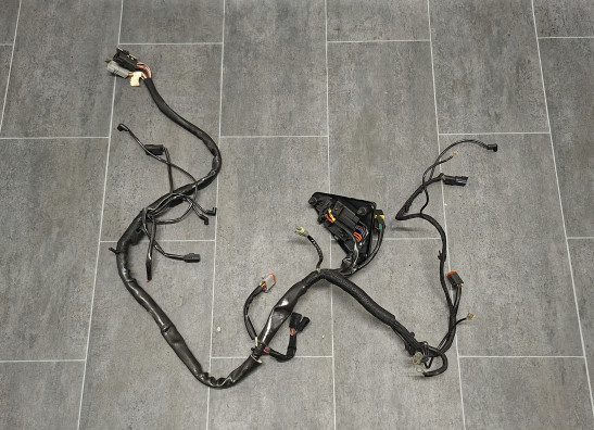 Kabelboom Harley Davidson FLHR Road King