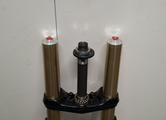 Gabelholm Komplett CFMoto 650 MT