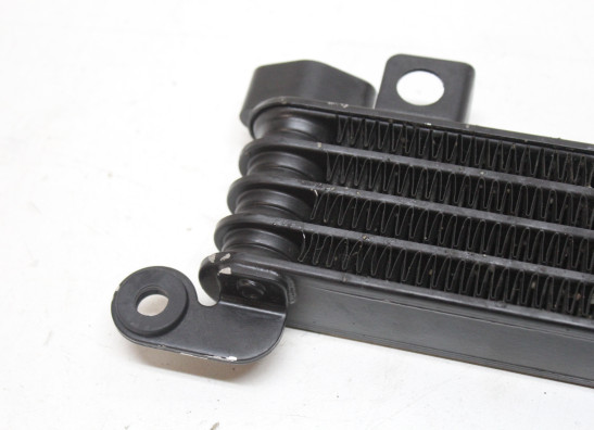 Oliekoeler Triumph Sprint GT 1050