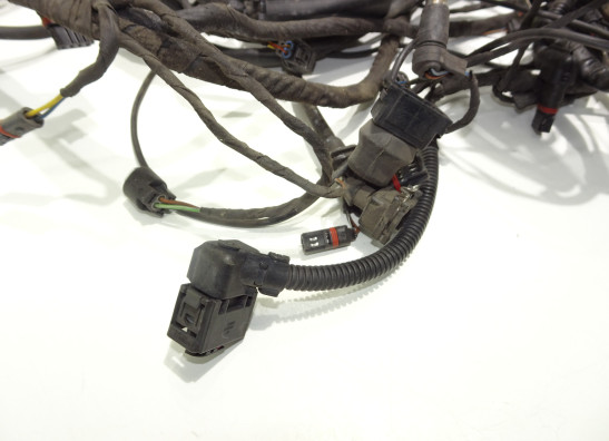 Kabelbaum BMW R 1200 GS Adventure