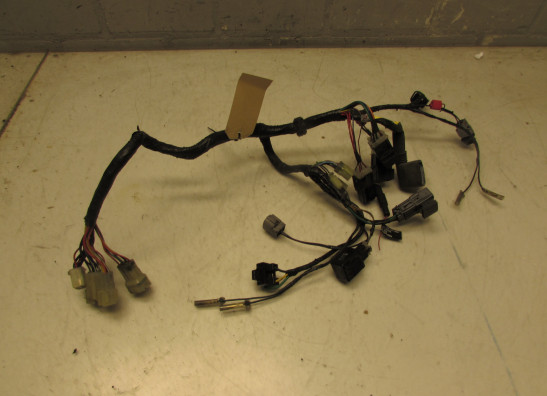 Kabelboom voor Yamaha FJR 1300