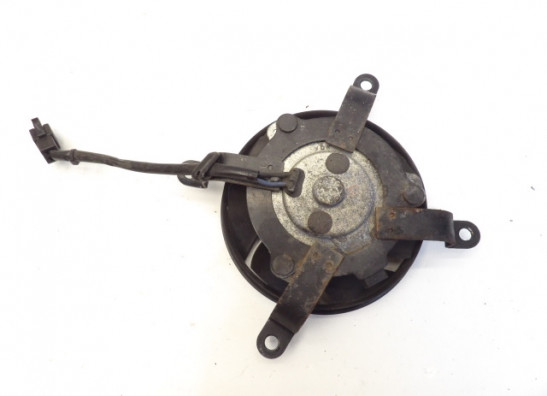 Fan Yamaha YP 400 Majesty