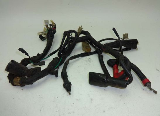Wire Harness Honda CMX 250 