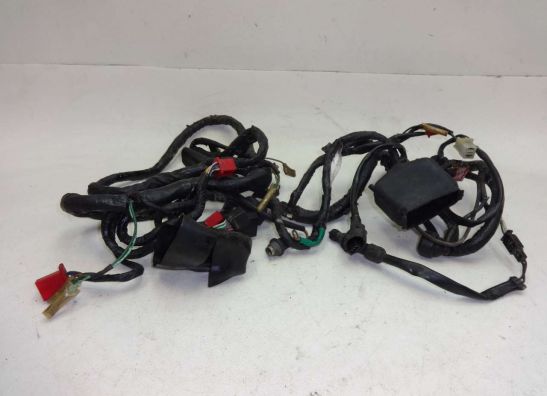 Wire Harness Honda CBR 1000 F