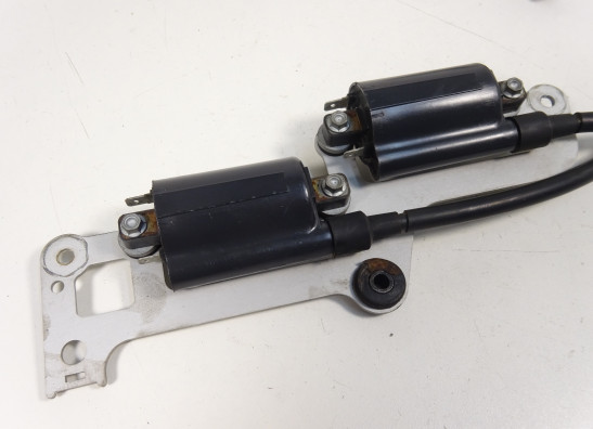 Bobine Aprilia Tuono 1000