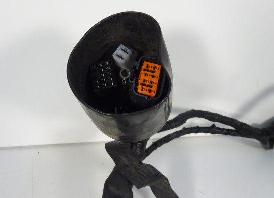 Wire Harness Kawasaki GTR 1400