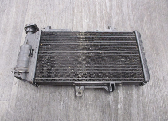 Radiateur BMW F 800 R